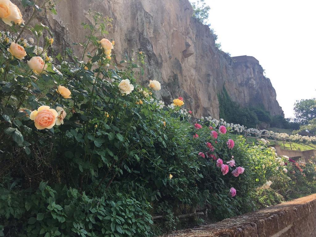 Misia Resort Orvieto Luaran gambar